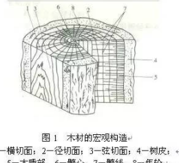 墻面開裂如何修補：實木家具開裂，這才是解決之道！